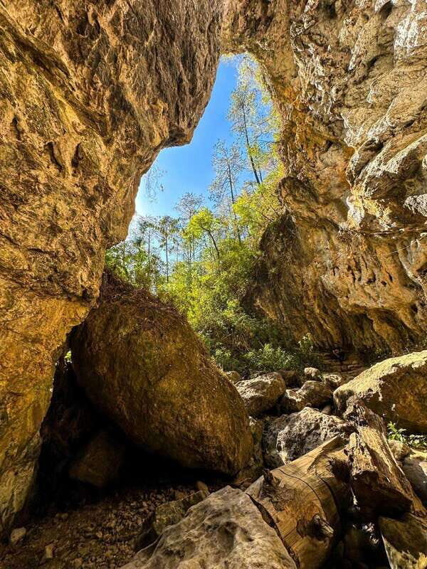Juárez Highlands: Ecotourism and Workshop Experience - Exploring the Sierra Juárez: Natural Beauty and Cultural Riches