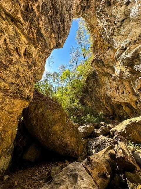 Juárez Highlands: Ecotourism and Workshop Experience - The Sum Up