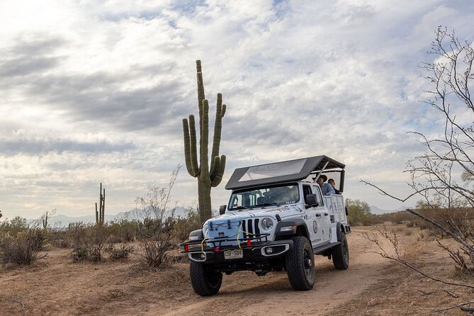Jumping Cholla (Choya) Jeep Tour - Questions About Your Stay