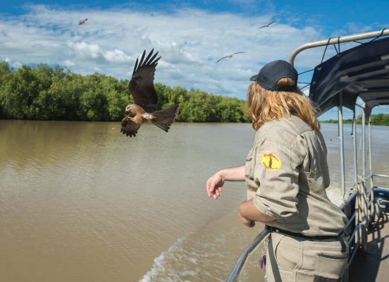 Jumping Crocodile Cruise from Darwin Half-Day Scenic Trip - The Sum Up: Who Will Love This Tour?
