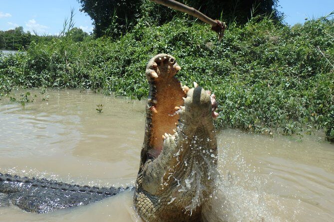 Jumping Crocodile Cruise with lunch - FAQ