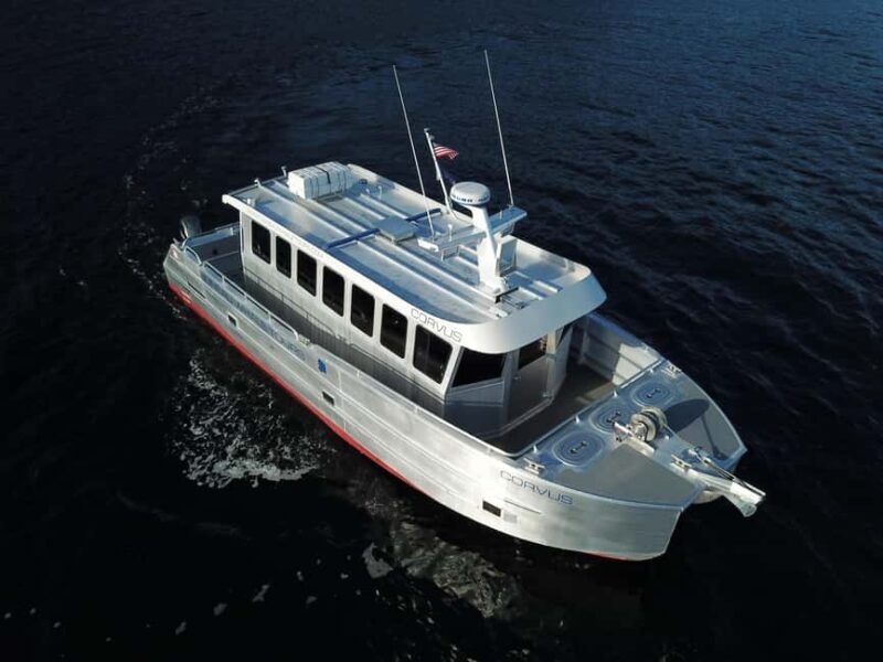 Juneau: 3.5-Hour Small Group Whale Watching Tour - An In-Depth Look at the Juneau Whale Watching Tour