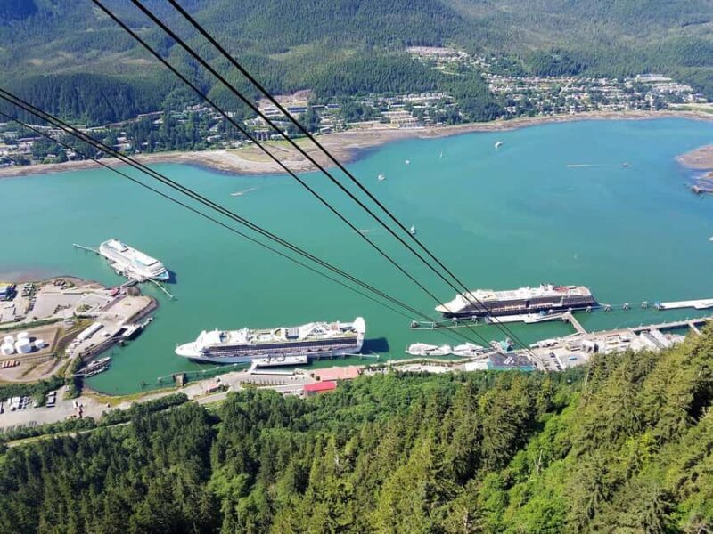 Juneau: Alaska Native Tour with Tram Ride and Meal - Authenticity and Overall Value