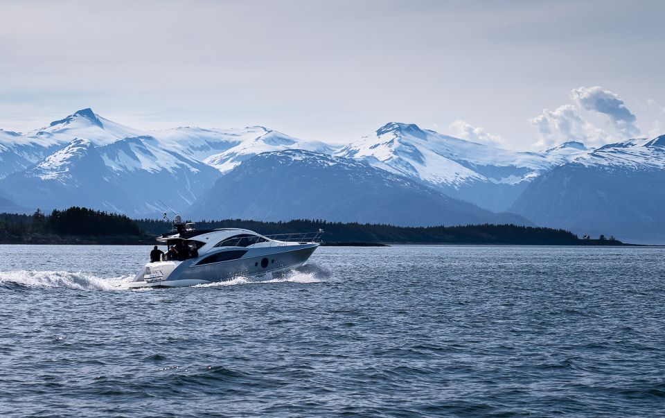 Juneau: All Inclusive Luxury Whale Watch - Key Points