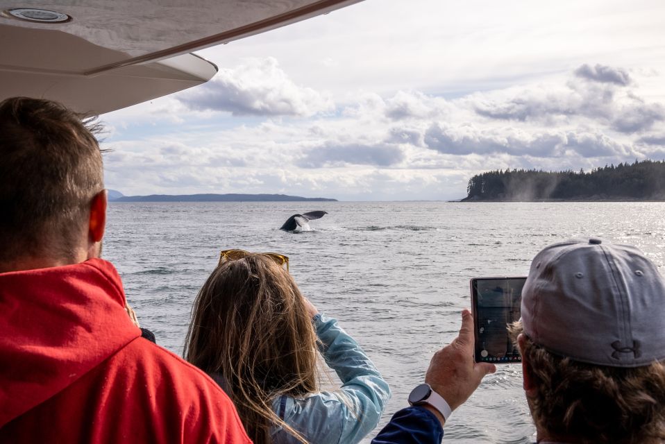 Juneau: All Inclusive Luxury Whale Watch - Tour Details