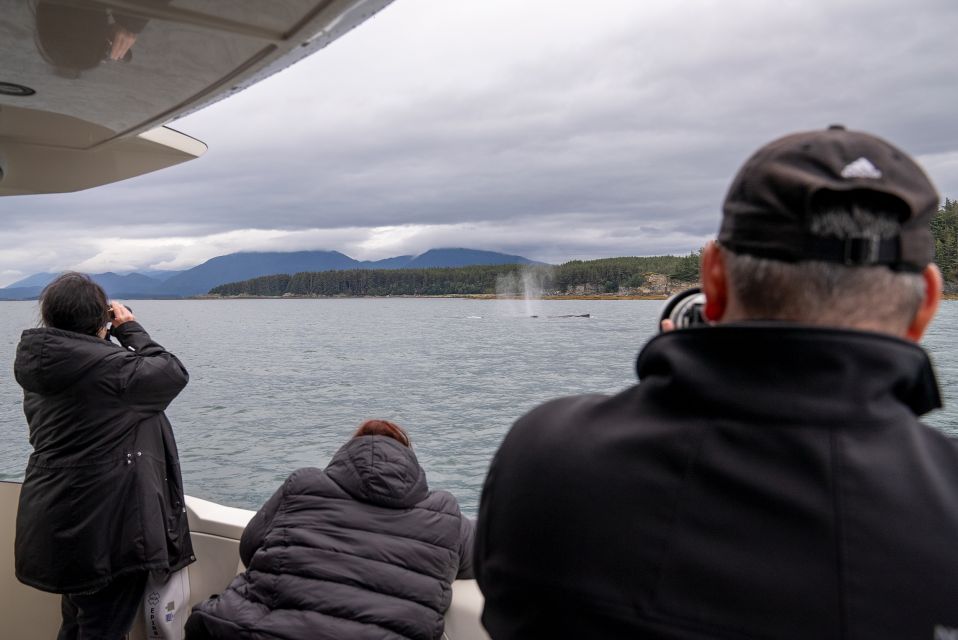 Juneau: All Inclusive Luxury Whale Watch - Recap