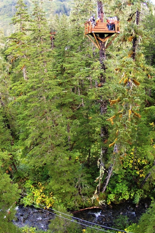 Juneau: Alpine Zipline Adventure - Gratuities and Inclusions