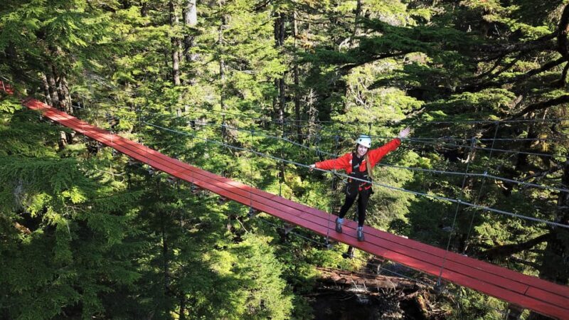 Juneau: Alpine Zipline Adventure - The Experience in Detail: Why It Matters
