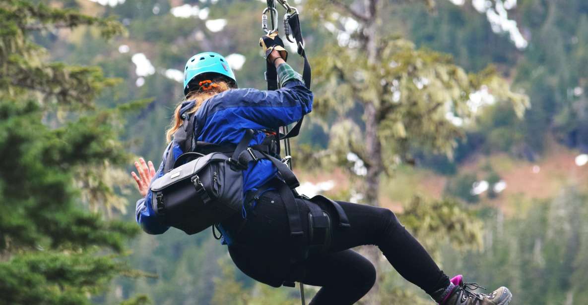 Juneau: Alpine Zipline Adventure - Pricing and Duration