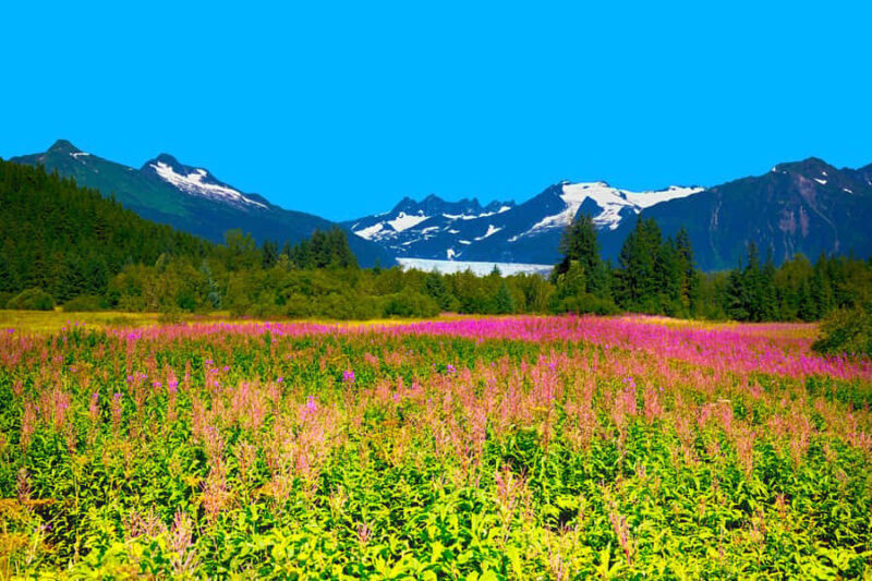 Juneau: City Highlights Bus Tour - Practical Tips for Travelers