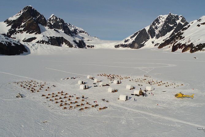 Juneau Helicopter and Dogsledding with Added Glacier Landing - Practical Tips for Travelers