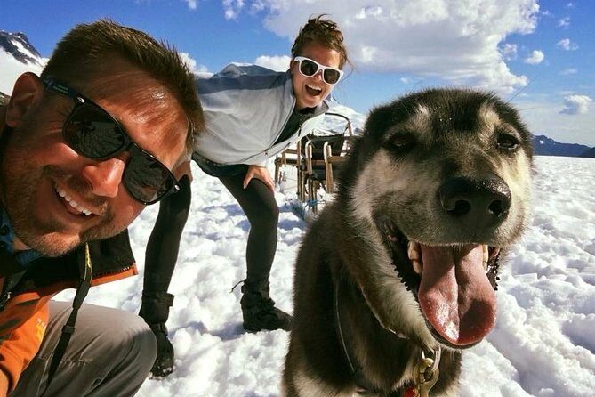 Juneau Helicopter and Dogsledding with Added Glacier Landing - Who Will Love This Tour?