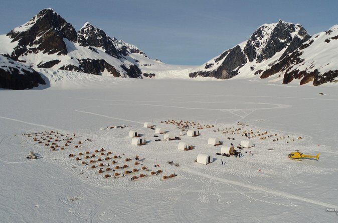 Juneau Helicopter and Dogsledding with Added Glacier Landing - The Sum Up