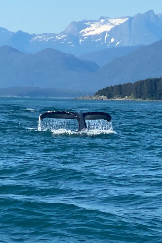 Juneau: Mendenhall Glacier and Whale Watching Tour - Key Points