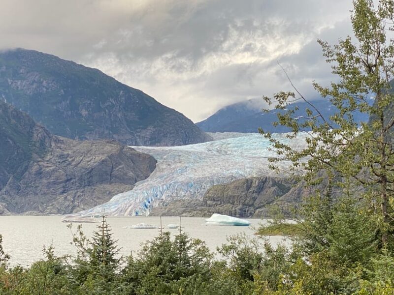Juneau: Mendenhall Glacier and Whale Watching Tour - The Journey Through Juneau’s Natural Wonders