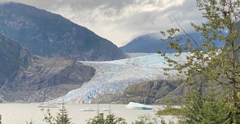 Juneau: Mendenhall Glacier and Whale Watching Tour - Who Will Love This Tour?