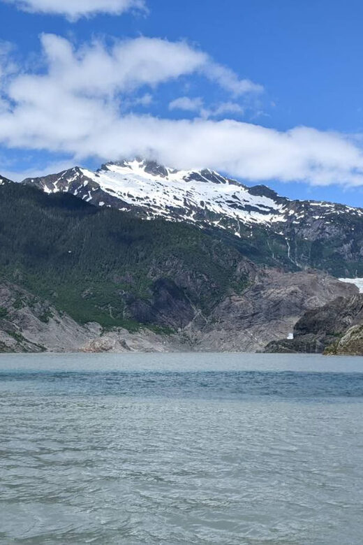 Juneau: Mendenhall Glacier Waterfall & Whale Watching Tour - The Value for Money