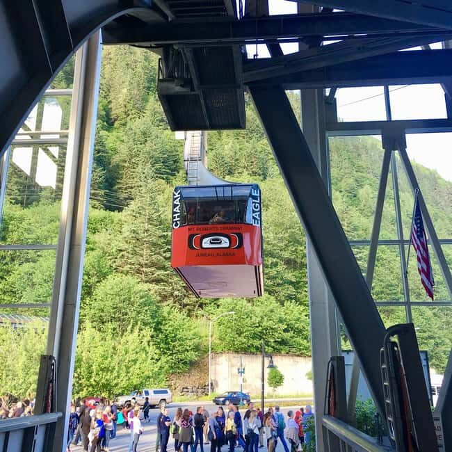 Juneau: Mount Roberts Tram Ride with App and Map - The Cultural and Natural Highlights