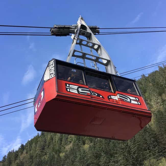 Juneau: Mount Roberts Tram Ride with App and Map - The Verdict: Who Is This Tour Best For?