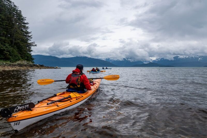 Juneau: Paddle with Whales Kayak Adventure - Key Points