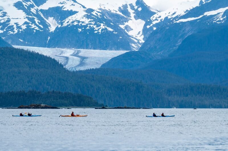 Juneau: Paddle with Whales Kayak Adventure - Wildlife and Scenery