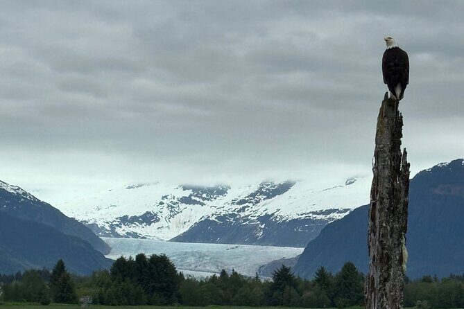 Juneau Private 3 Hour Sightseeing Tour with a Local - What Past Travelers Say