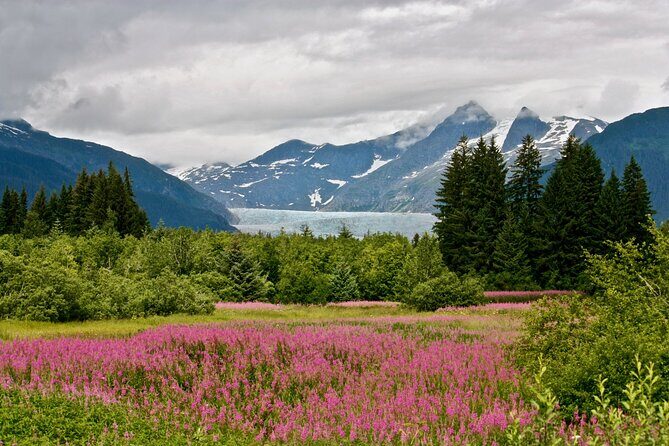 Juneau Private 3 Hour Sightseeing Tour with a Local - Practical Details and Considerations