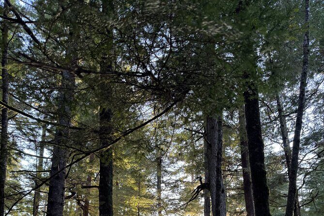 Juneau Private 3 Hour Sightseeing Tour with a Local - FAQ