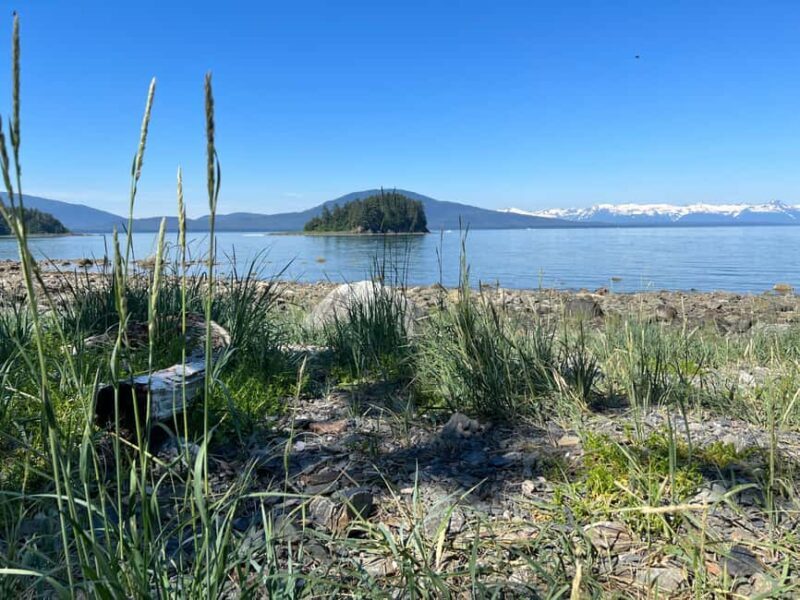 Juneau: Rainforest Photo Safari on a Segway - FAQ