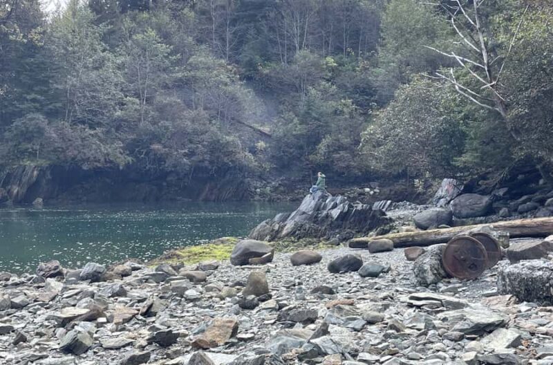 Juneau: Treadwell City Ruins Guided Walking Tour - An In-Depth Look at the Treadwell City Ruins Tour