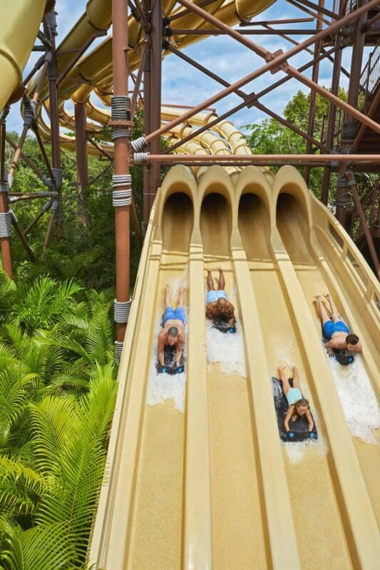 Jungala Aqua Experience: The Full Experience - The Sum Up: Who Will Love Jungala Aqua Experience?