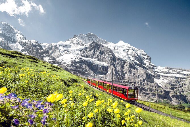 Jungfrau, Top of Europe & Interlaken Small group from Zurich - Who Is This Tour Best For?