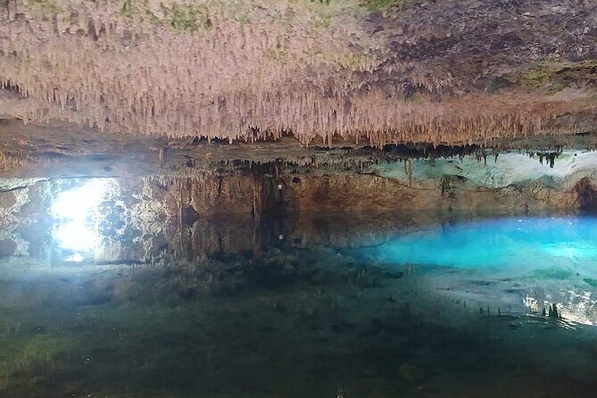 Jungle Adventure Atv , Ziplines And Cenote Swimming - Wrapping It Up