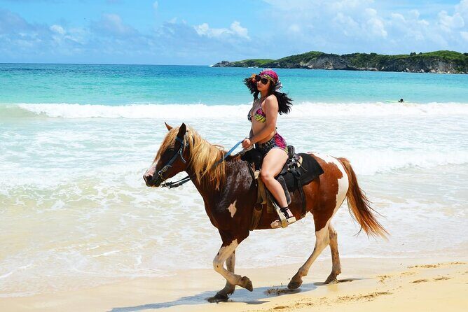 Jungle and Beach Horse Ridding round trip transportatin. - Authenticity and Quality