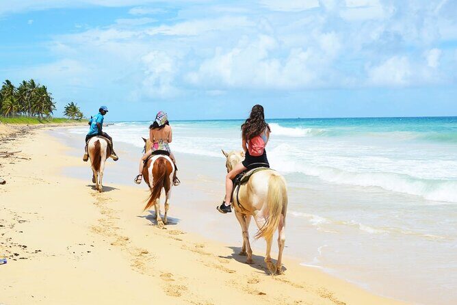 Jungle and Beach Horse Ridding round trip transportatin. - What the Tour Means for You