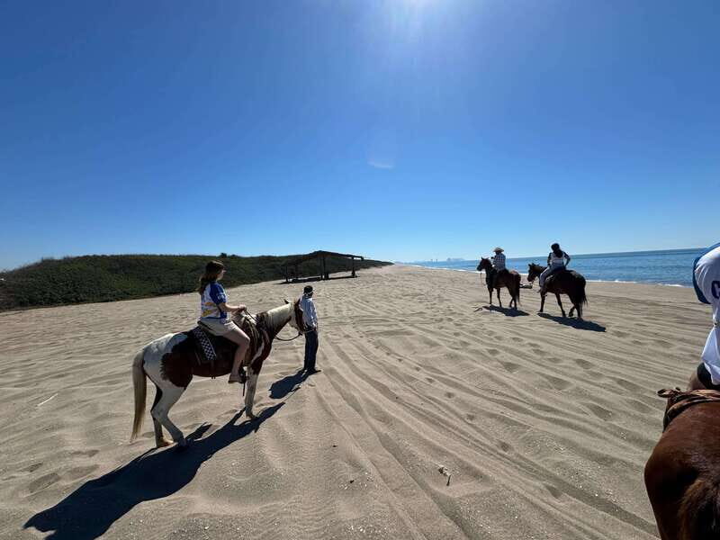 Jungle and beach horseback ride + lunch + mezcal - Discovering the Jungle and Beach Horseback Ride in Sinaloa: An Authentic Adventure