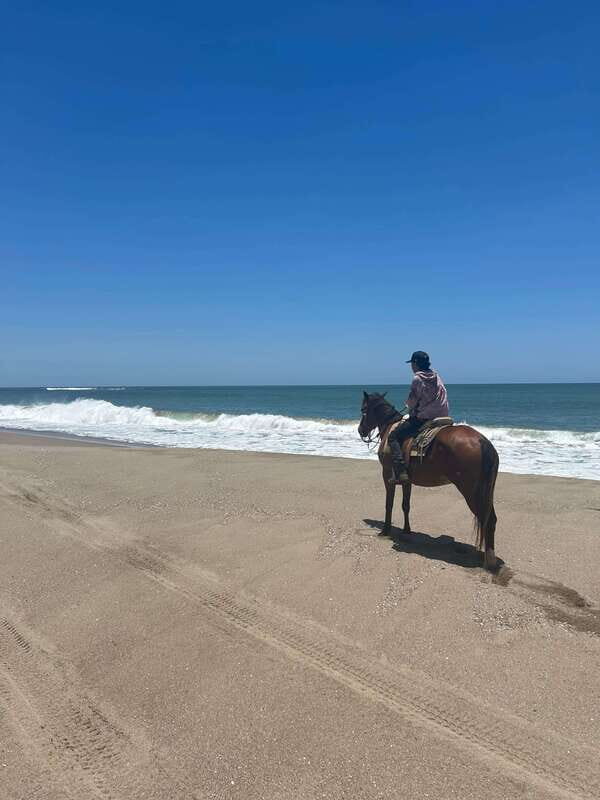 Jungle and beach horseback ride + lunch + mezcal - Additional Activities and Convenience