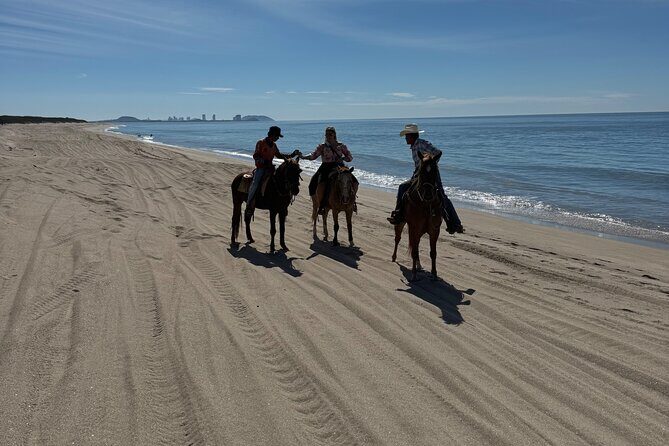Jungle and Beach Horseback ride Tour in Pacific Coast - A Closer Look at the Experience
