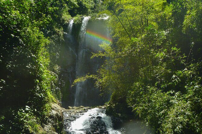 Jungle and Waterfall Adventure - Exploring the Jungle and Waterfall Adventure in Puerto Rico: An Honest Review