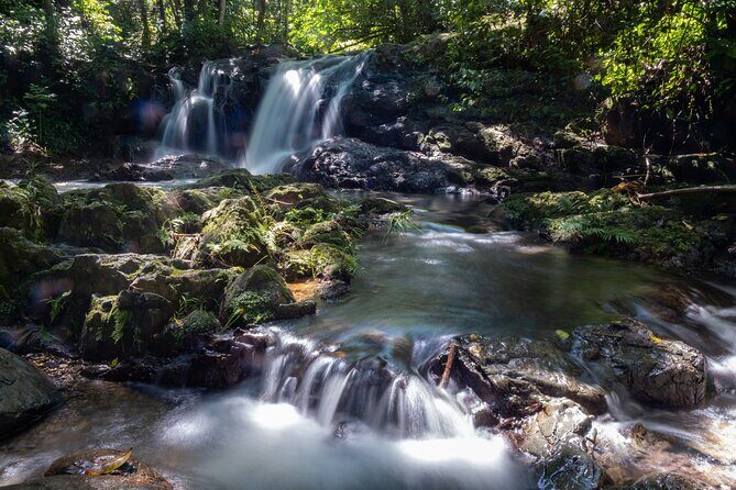 Jungle and Waterfall Adventure - Key Points