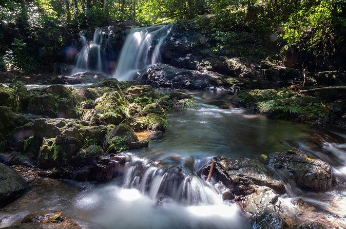 Jungle and Waterfall Adventure - FAQ