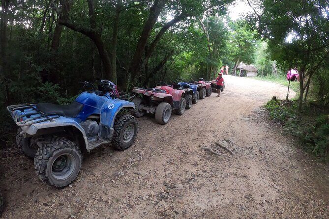 Jungle ATV Adventure: Unveiling Akumal's Enchanting Cenotes - Unpacking the Experience: What You Can Expect