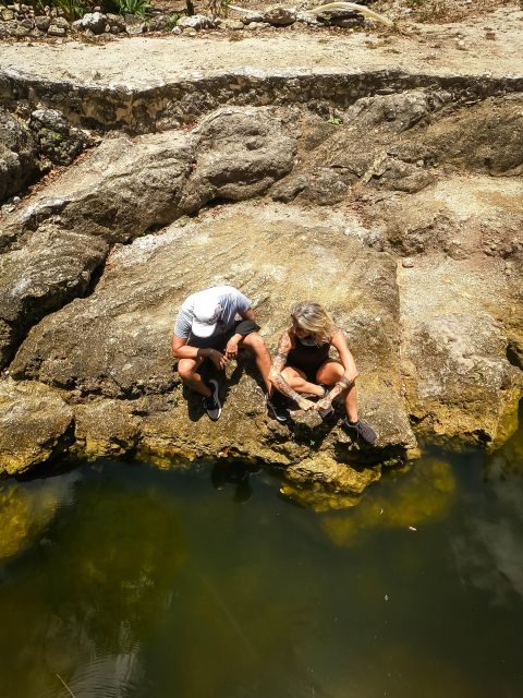 Jungle Atv Tour at Cozumel - Highlights