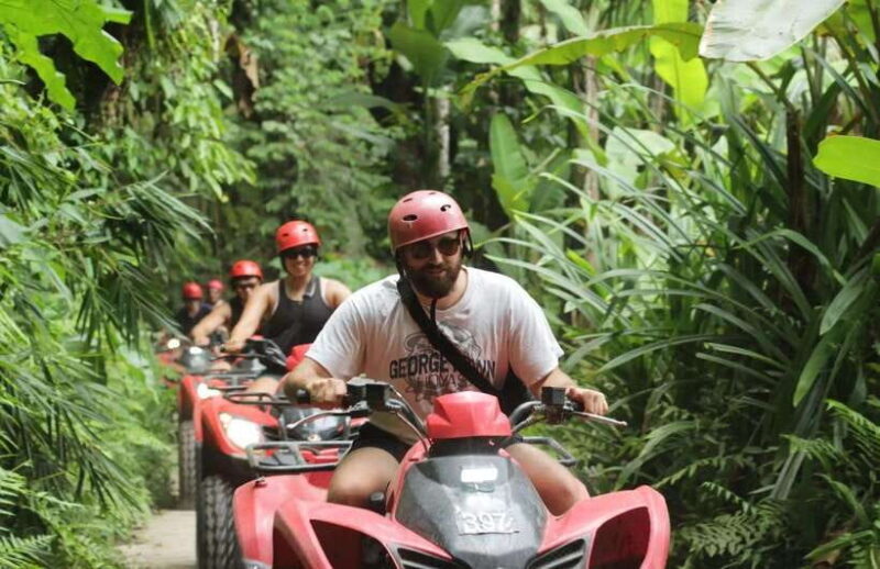 Jungle Bali ATV And Kintamani Volcano Tour - Key Points