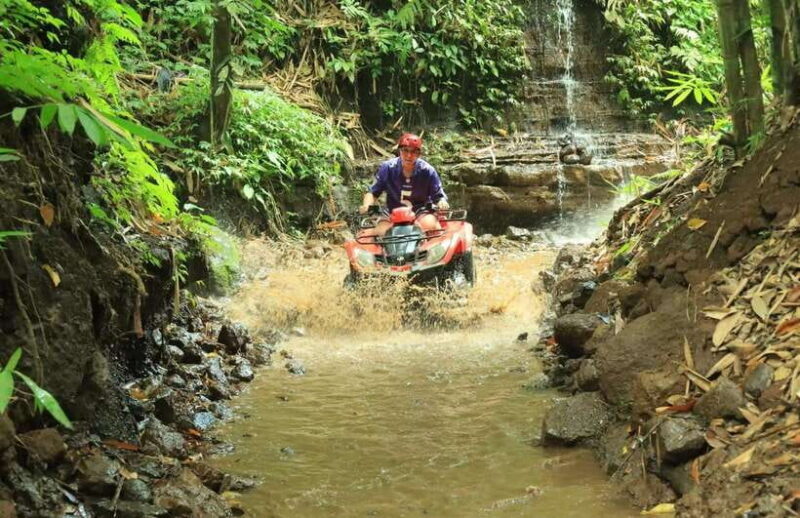Jungle Bali ATV And Kintamani Volcano Tour - Exploring Bali with a Balance of Adventure and Culture