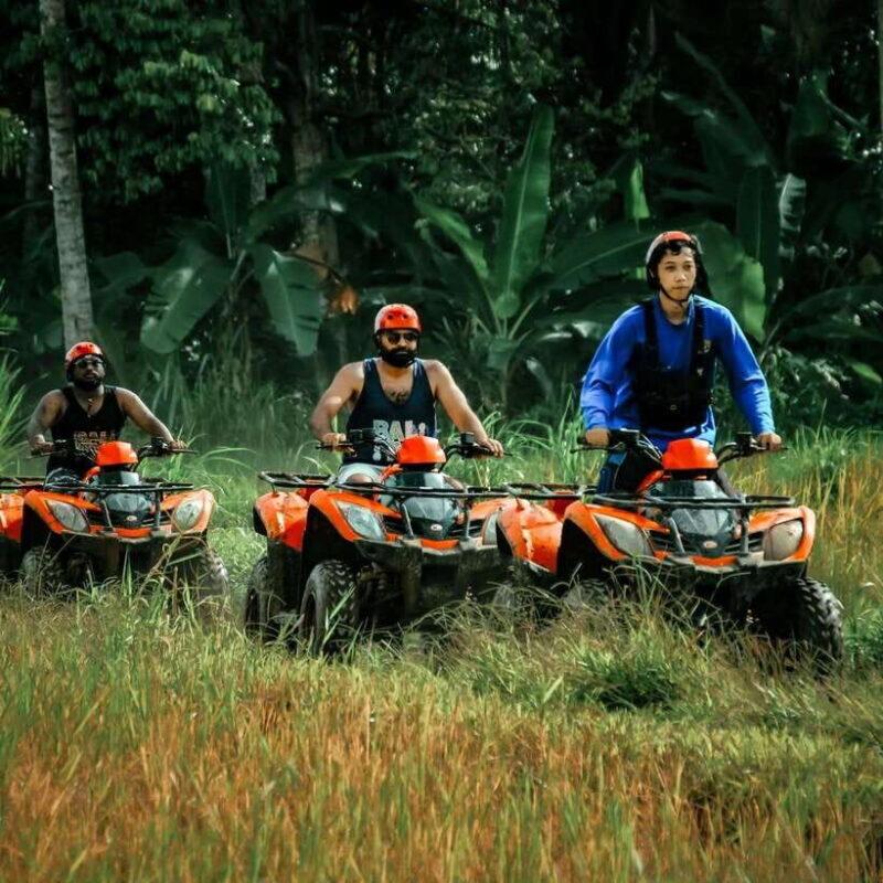 Jungle Bali ATV And Kintamani Volcano Tour - Authenticity and Value