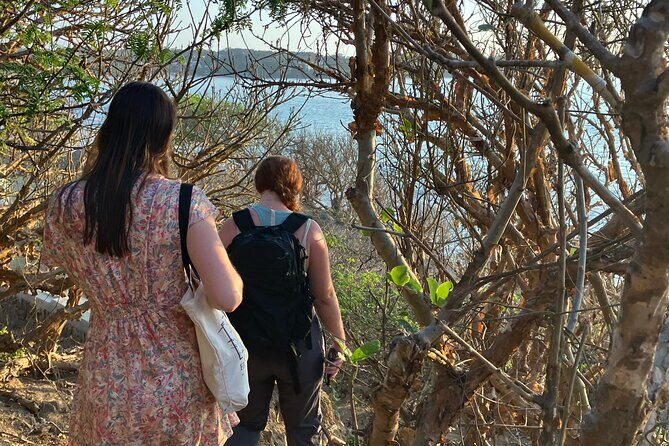 Jungle & Beach: Hidden treasures between the Jungle and the Coast - FAQ