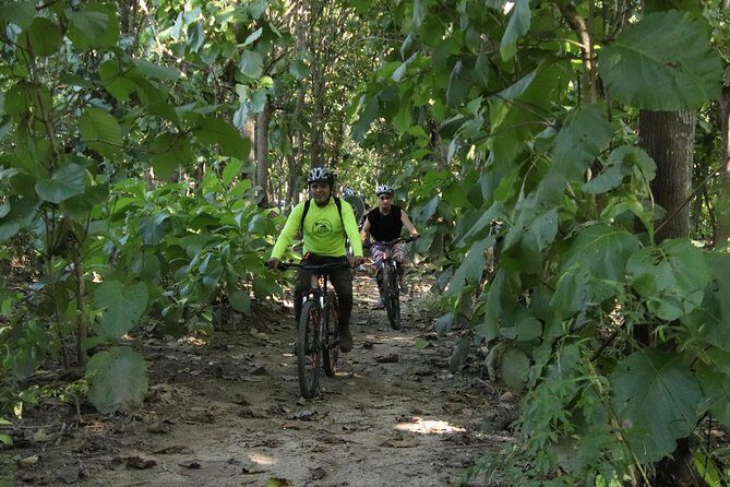 Jungle Bike Tour - What the Jungle Bike Tour Offers