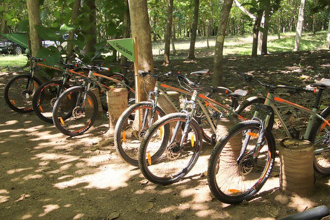Jungle Bike Tour - The Guides and Service
