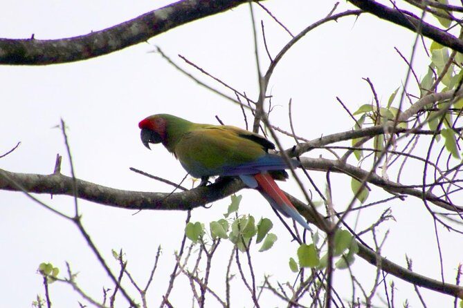 Jungle Bike Tour - Environmental and Local Impact
